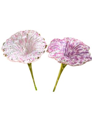 41860EBD-E0D1-4850-BBA8-BEAC47BDAA52