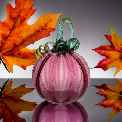 PhotoRoom_20230914_1201069