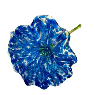 PhotoRoom_20231026_105227_2